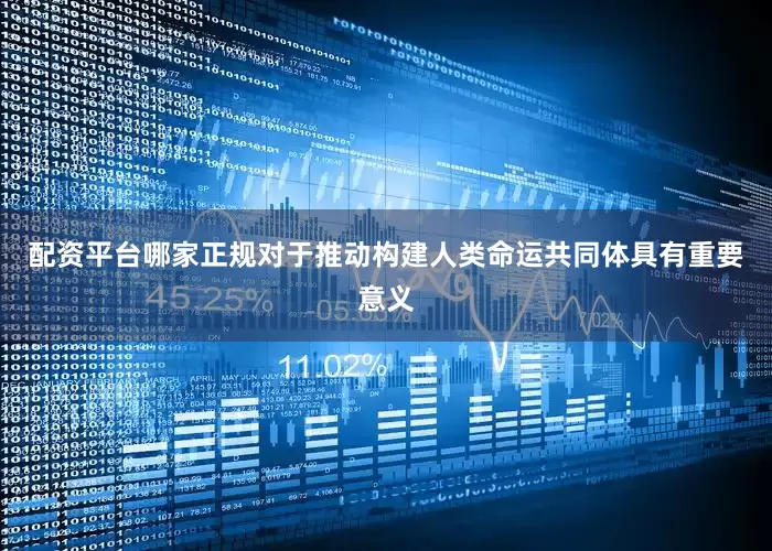 配资平台哪家正规对于推动构建人类命运共同体具有重要意义