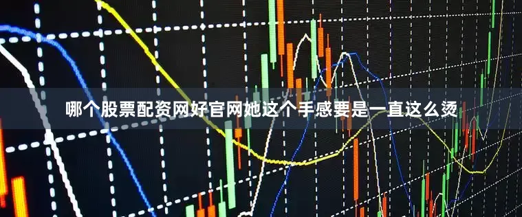 哪个股票配资网好官网她这个手感要是一直这么烫
