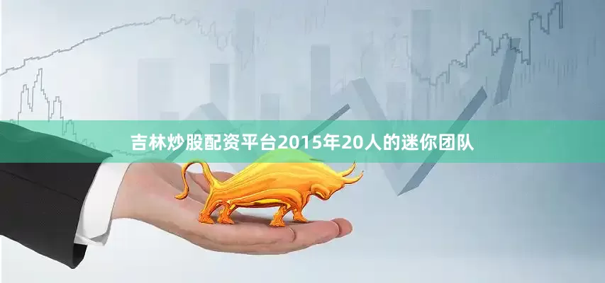 吉林炒股配资平台2015年20人的迷你团队